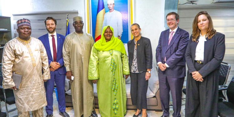 Coopération : la vice-ministre allemande des Affaires Étrangères en visite au Tchad pour renforcer la coopération humanitaire