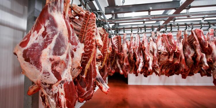 Tchad: Le ministère de l&rsquo;Élevage assure la continuité des inspections sanitaires des viandes