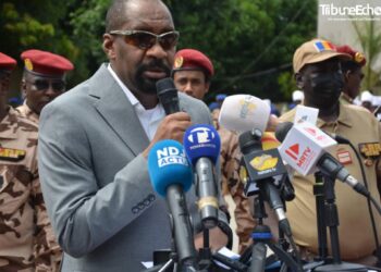 Tchad: Ali Ahmat Akhabache remplace Mahamat Charfadine Margui au ministère de la sécurité publique et de l&rsquo;immigration