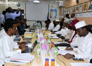 Tchad : La 32ème Session Ordinaire du Conseil de l&rsquo;Aviation Civile, entre défis et réformes