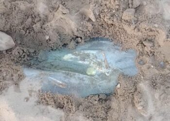 Tchad : Des déversements de pétrole brut menacent la biodiversité près de Ngouri