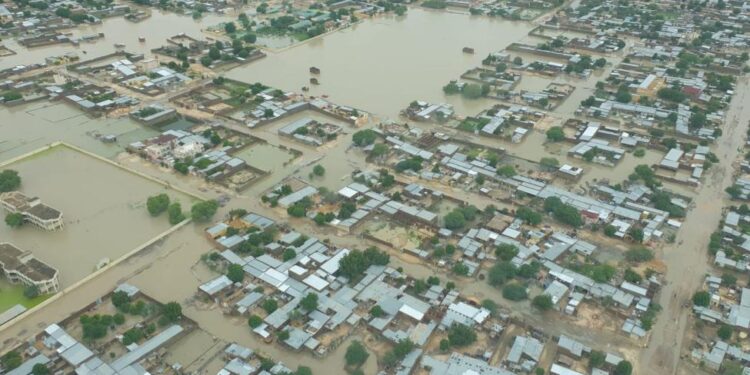 Tchad : Une crise humanitaire sans précédent face aux inondations