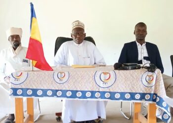 Sila : Une avancée majeure pour la santé infantile à Goz-Beïda