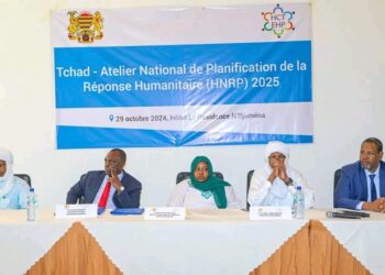 Tchad : Lancement de l&rsquo;atelier national de planification de la réponse humanitaire 2025.