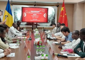 Tchad: Semaine culturelle Chine-Tchad pour mieux comprendre la Chine