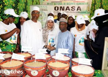 Tchad : La Journée mondiale de l&rsquo;alimentation célébrée à N&rsquo;Djamena