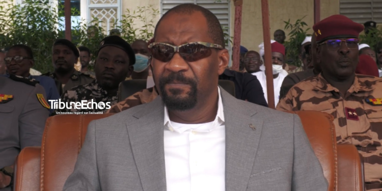 Tchad : Ali Ahmat Akhabache remplace Mahamat Charfadine Margui au ministère de la sécurité publique et de l&rsquo;immigration