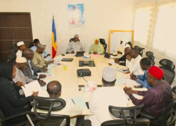 Tchad: réunion ministérielle pour lutter contre la dégradation des routes à N&rsquo;Djaména