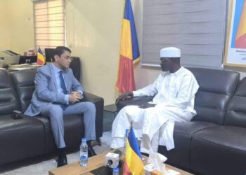Tchad: Entretien entre le Ministre de la fonction publique et le nouvel ambassadeur d&rsquo;Égypte