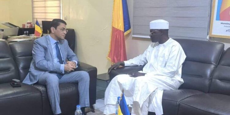 Tchad: Entretien entre le Ministre de la fonction publique et le nouvel ambassadeur d&rsquo;Égypte