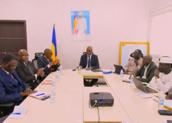 Tchad : Le ministre des Infrastructures rencontre le Directeur Général de la BAD pour avancer sur des projets clés