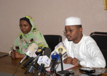 Tchad : Préparatifs pour la COP29 face aux défis climatiques