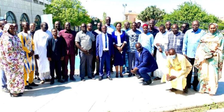 Tchad: ouverture de l&rsquo;atelier bilan de l&rsquo;an 2 sur le programme d&rsquo;appui aux districts sanitaires.