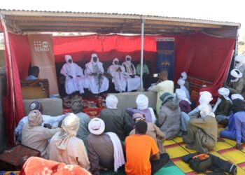 Hadjer-Lamis : Évaluation des activités du Comité de Veille Cantonal contre les VBG