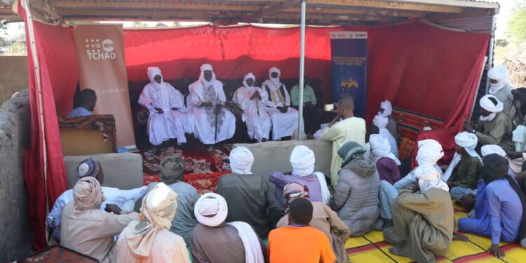 Hadjer-Lamis : Évaluation des activités du Comité de Veille Cantonal contre les VBG