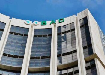 Capital Hybride et Développement Durable : Les Enjeux de la Présidence de la BAD