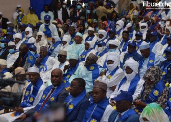Tchad: Le MPS met sur pied une coordination nationale de campagne