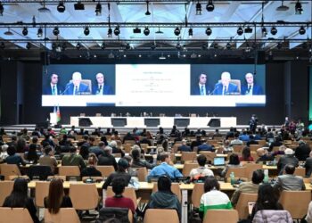 COP29 : une promesse financière qui divise face à l&rsquo;urgence climatique