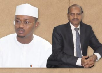 Tchad: Le Ministre de l&rsquo;environnement reçoit en audience l&rsquo;ambassadeur de l&rsquo;Inde