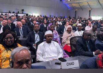 Le ministre tchadien de l&rsquo;environnement participe à la COP16 en Arabie Saoudite