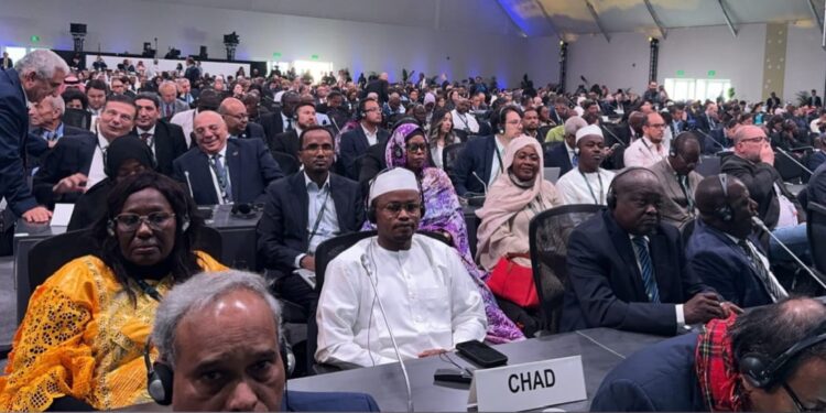 Le ministre tchadien de l&rsquo;environnement participe à la COP16 en Arabie Saoudite