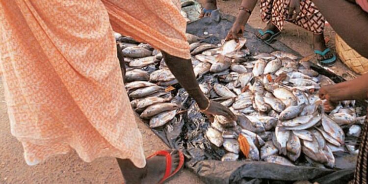 N&rsquo;Djamena : Les poissons vendus dans des conditions hygiéniques déplorables