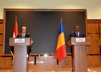 Diplomatie : Renforcement des liens entre le Tchad et l’Égypte