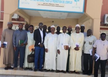 Tchad: Rencontre stratégique entre l’ANADER et l’ONAPE pour le projet Jeunesse Emploi Vert