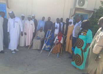 Lac : la journée des personnes vivant avec un handicap célébrée à Baga-Sola