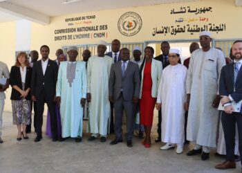 Tchad: la CNDH lance son site web et une application pour le suivi des plaintes des droits de l’Homme