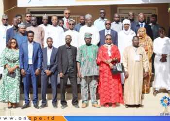 Tchad: L’ONAPE et l’INSPEM lancent une formation pour l’insertion des jeunes dans le secteur pétrolier