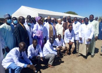 N&rsquo;djamena : Lancement de la campagne de vaccination contre la peste des petits ruminants et la péripneumonie bovine