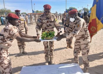 Lac: la Journée de la Liberté et de la Démocratie célèbrée à Baga Sola