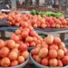 Tchad : L&rsquo;abondance de tomates fraîches, une aubaine pour les consommateurs