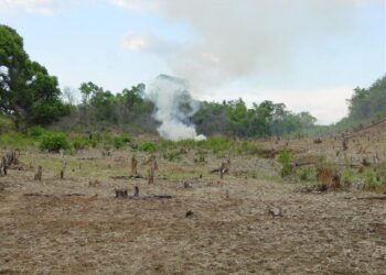 Burundi : Risque de crise alimentaire à Cibitoke, les agriculteurs en détresse face à la pénurie d’engrais