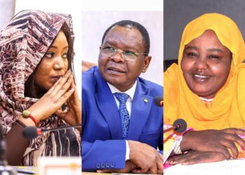 Tchad : Le Premier ministre évalue les performances du ministère de la Femme et du ministère de l’Action sociale