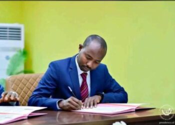 Tchad: L&rsquo;UFDT condamne la tentative de déstabilisation et soutient le Maréchal Mahamat Idriss Déby Itno