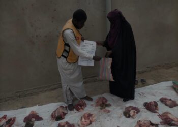 Tchad : menaces de mort, enlèvement, persécutions, Amir Mahamat Abdraman finit par quitter le pays