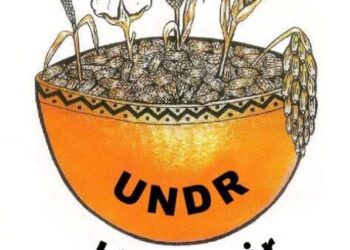 Résultats provisoires des élections couplées : La Calebasse déborde d&rsquo;indignation