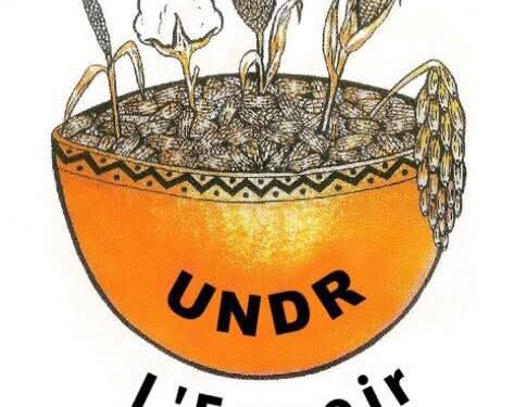 Résultats provisoires des élections couplées : La Calebasse déborde d&rsquo;indignation