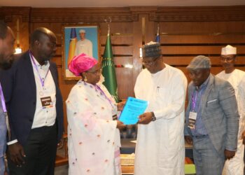 Élections couplées au Tchad : Les missions d’Observation remettent leur rapport préliminaire au chef de la diplomatie tchadienne