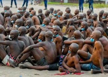 RDC : 127 Kuluna transférés à Angenga dans le cadre de l’opération « Ndobo »