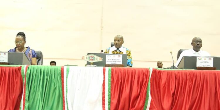 Burundi : Une hausse des licences qui fait grincer des dents