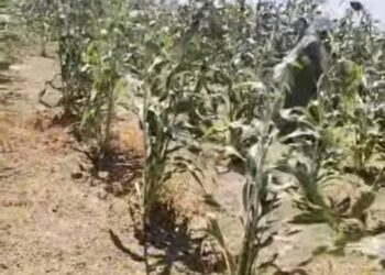 Batha: Conflit intercommunautaire à Agana Waga, sept morts et douze blessés