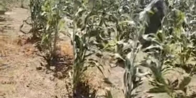 Batha: Conflit intercommunautaire à Agana Waga, sept morts et douze blessés