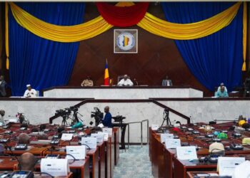Tchad : Que faut-il savoir sur le Sénat ?