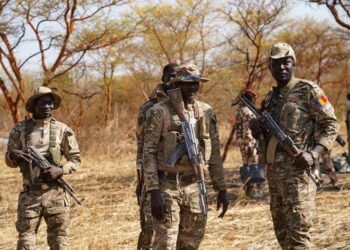 Salamat: 4 FDS tombent sous les balles des braconniers