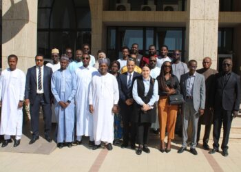 Tchad : L&rsquo;ANSICE organise des ateliers sur la maturité de la Cybersécurité sectorielle