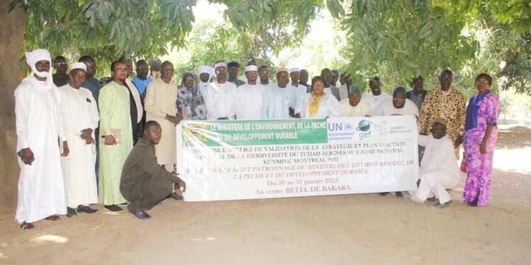 Tchad : Validation de la Stratégie Nationale pour la Biodiversité alignée au Cadre Kunming-Montréal