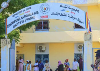 Tchad : la CNDH dénonce une fausse synthèse attribuée à son rapport sur les élections